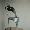 Jaap Jongert, madame Thonet, aluminium