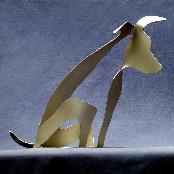 Jaap Jongert, Nikki-dog, rvs